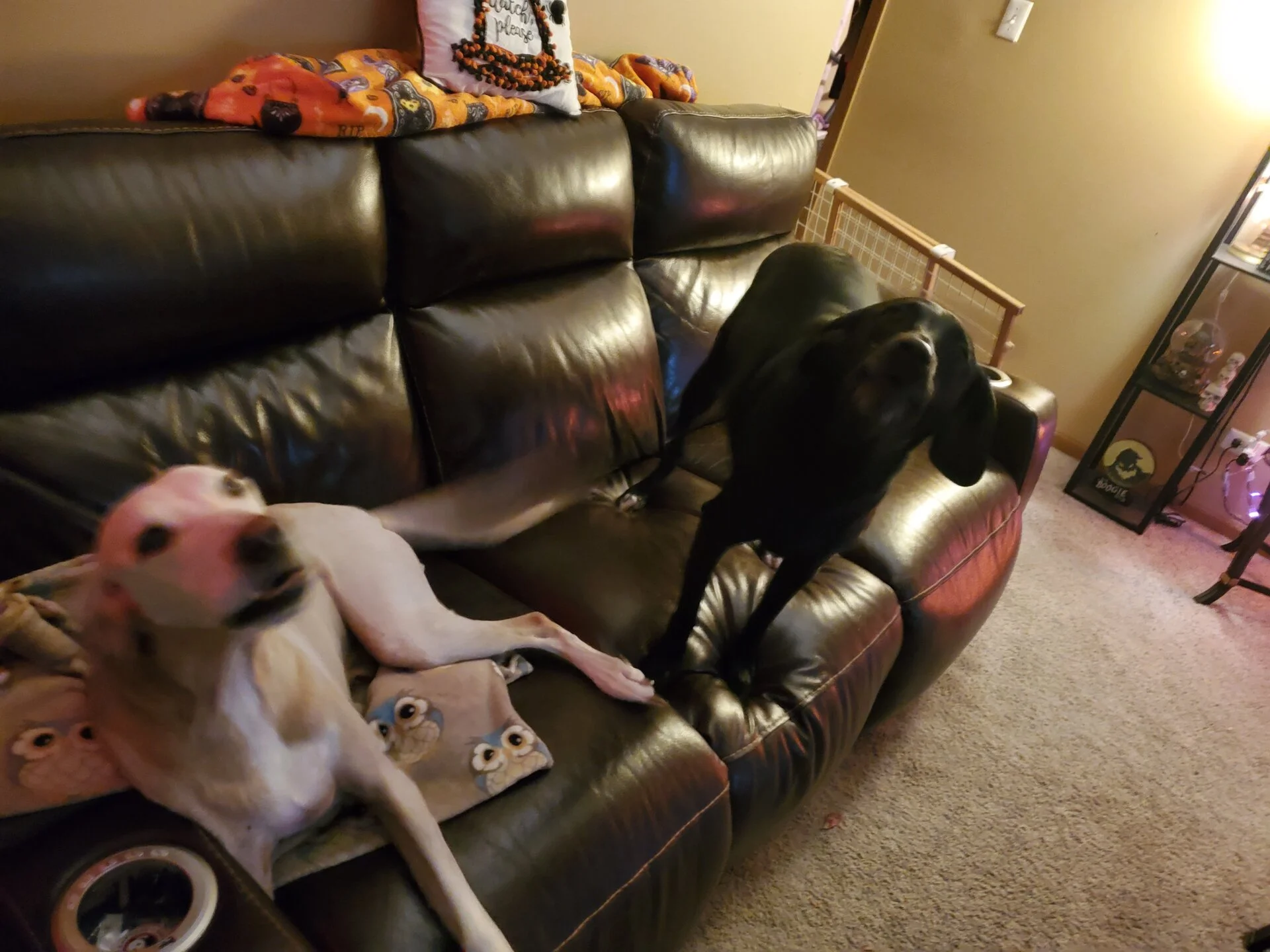 20231027_182633.webp
