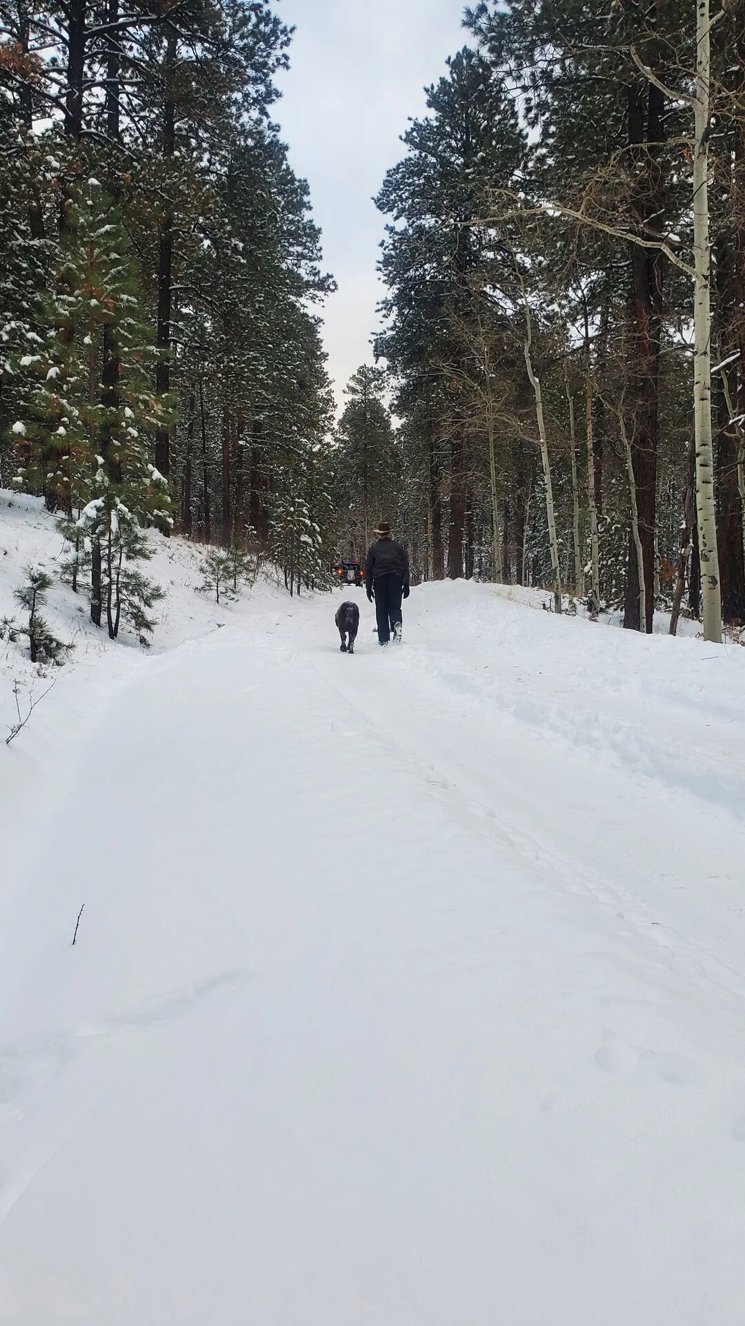 20231125_162706.webp