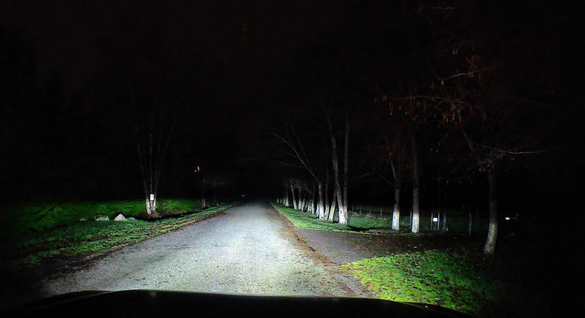 20231207024545_003107A_(1)~2.webp
