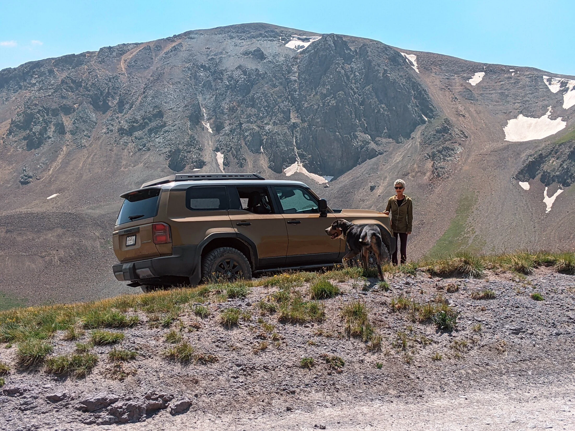 2024 Land Cruiser #2.webp