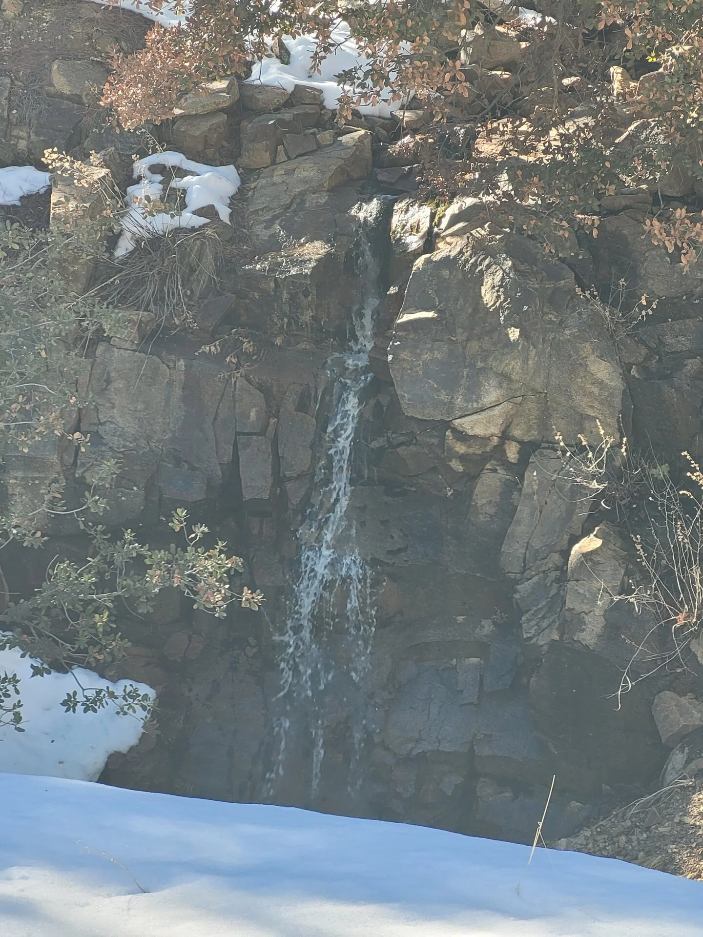 20240217_145952.webp