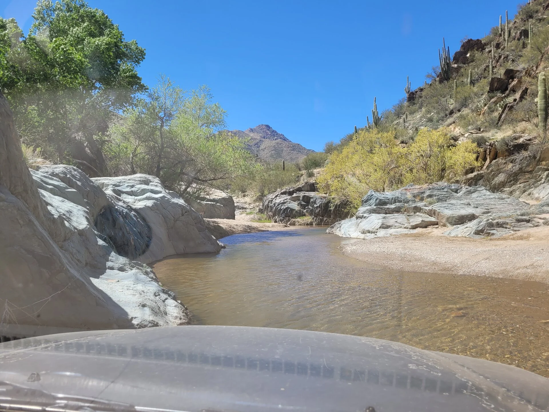 20240330_124844.webp