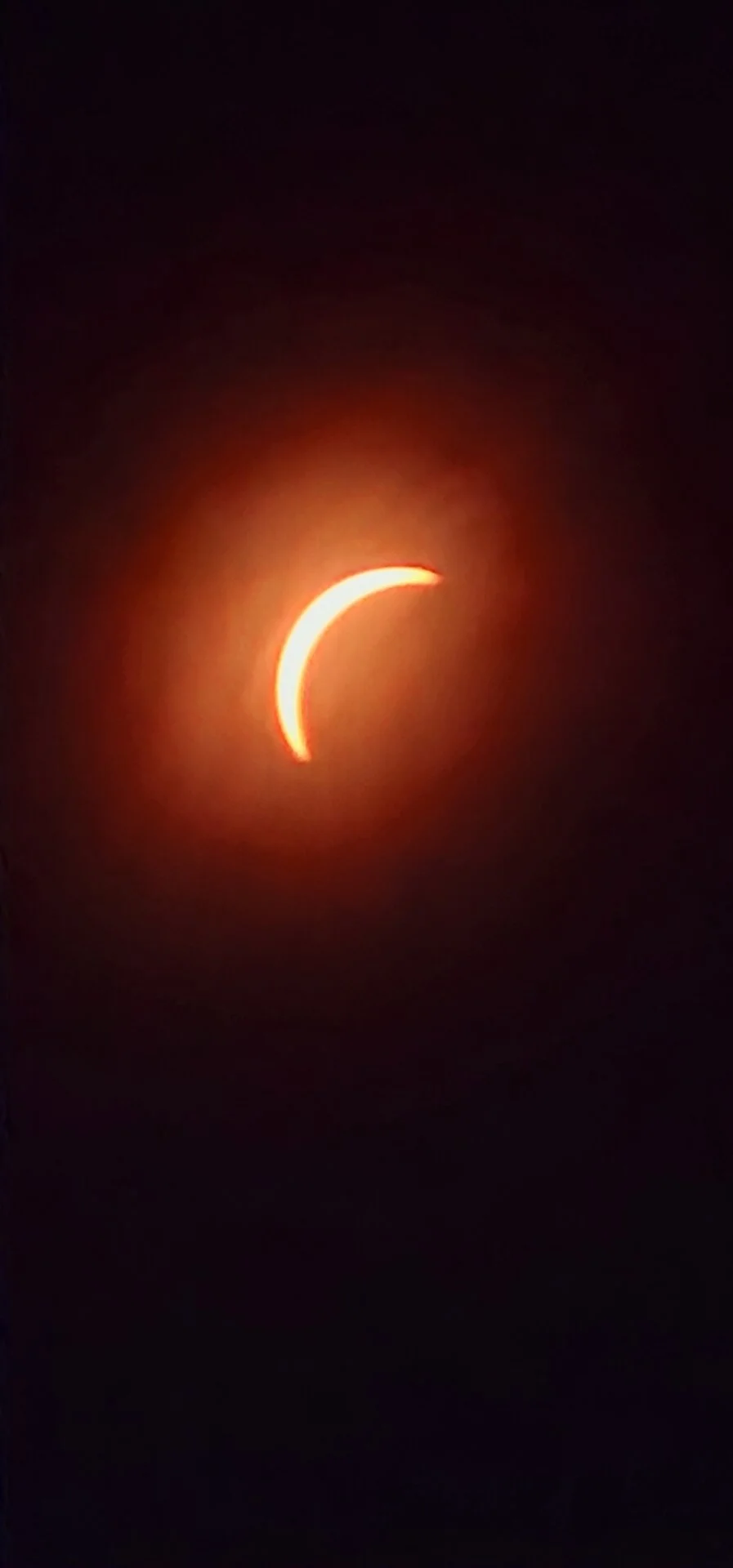 20240408_133156.jpg