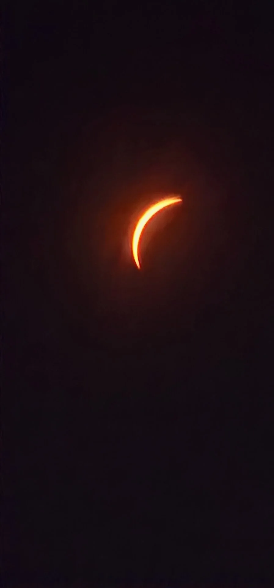 20240408_133403.jpg