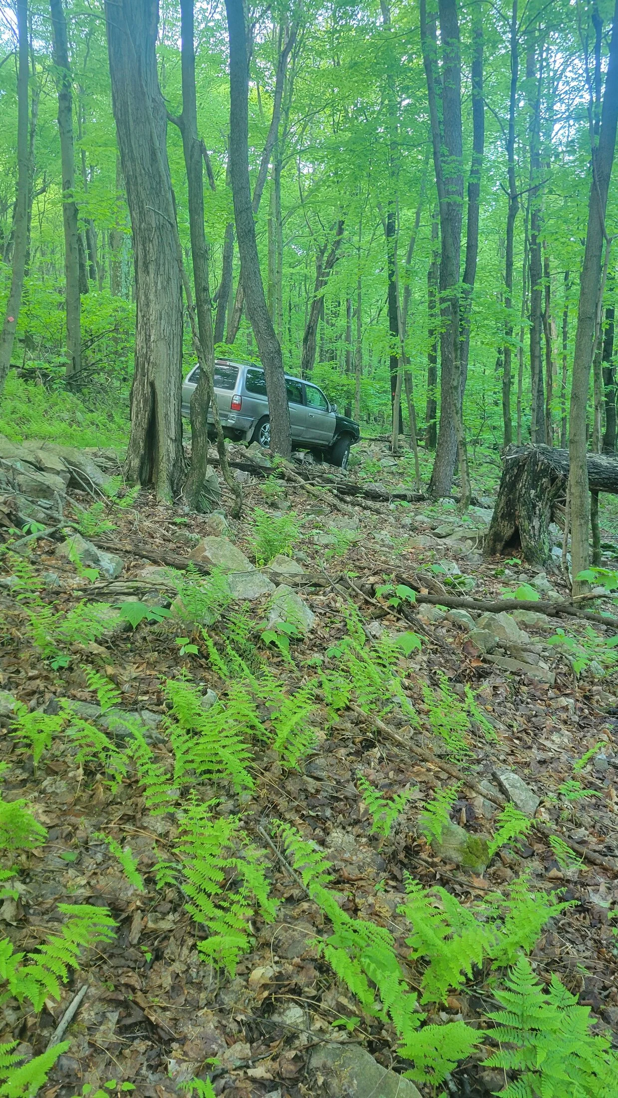 20240511_075339.jpg