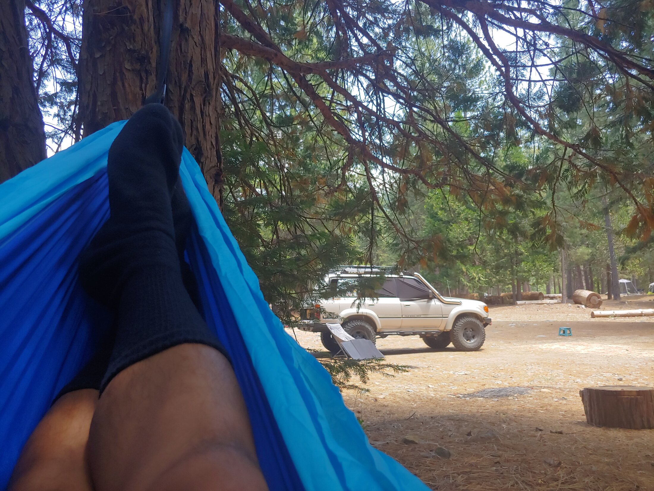 20240713_133109_HDR.jpg