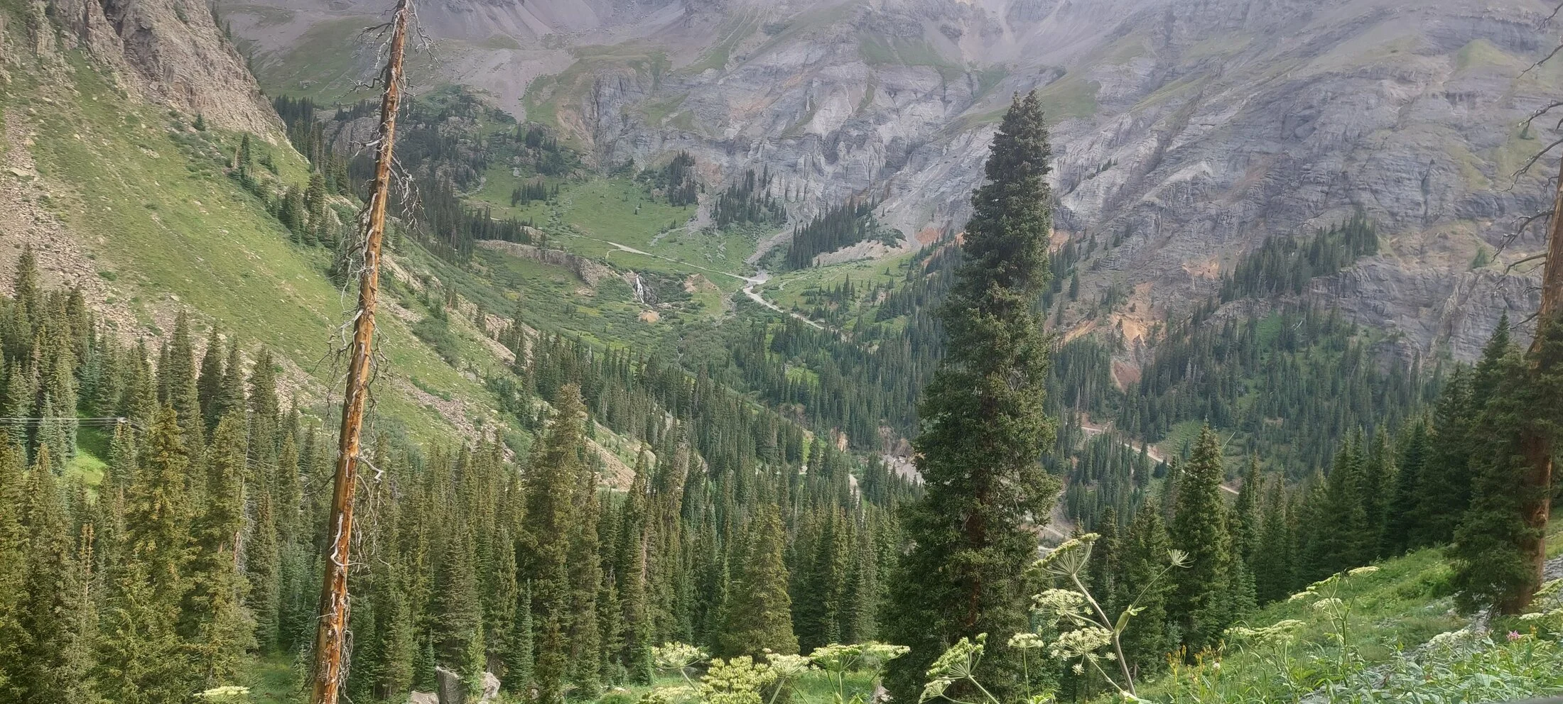 20240809_102859.webp