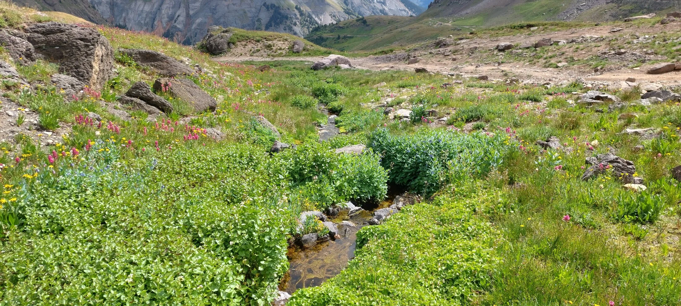 20240809_111710_copy_4624x2082.webp