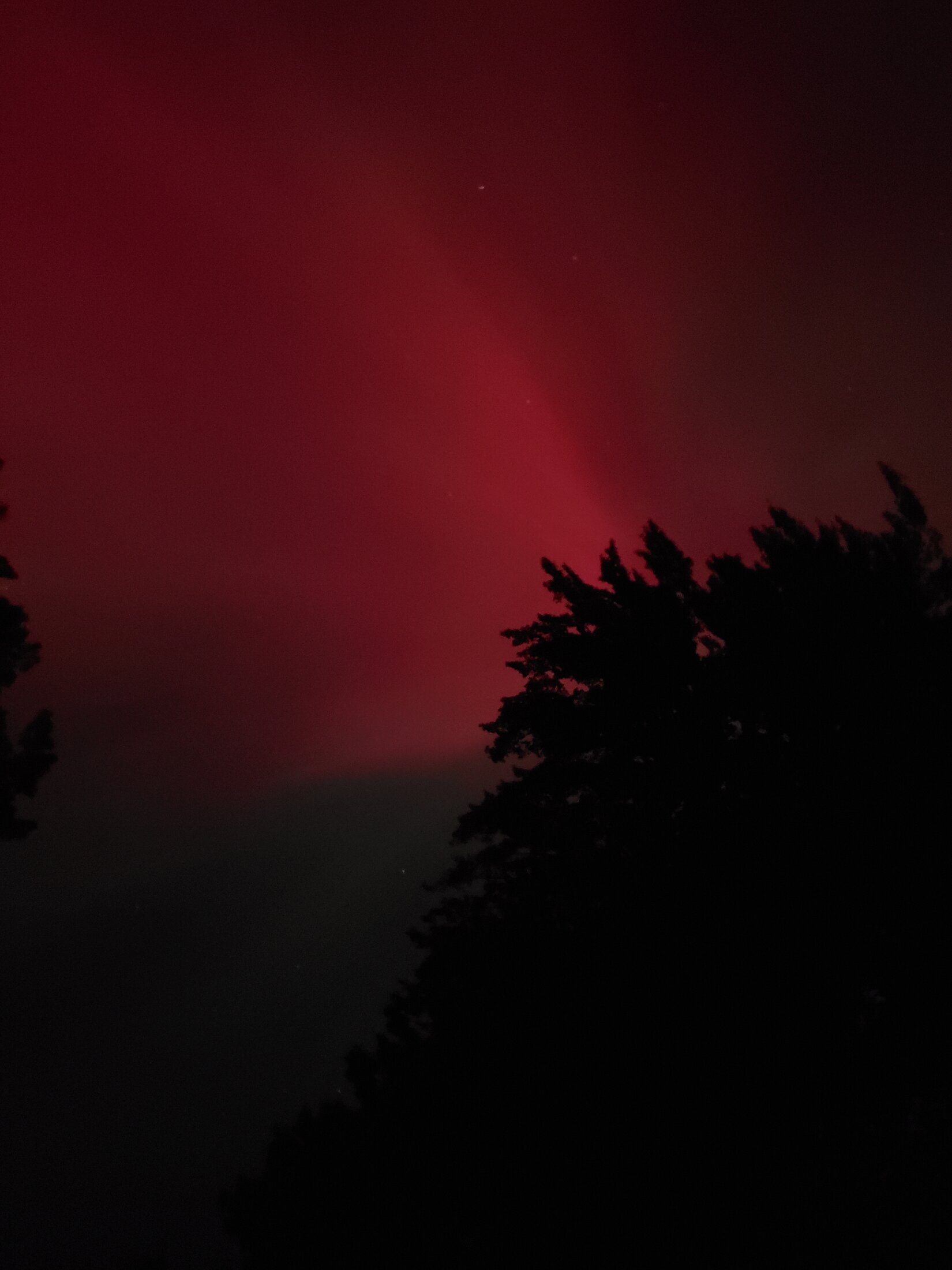 20241010_192432.jpg
