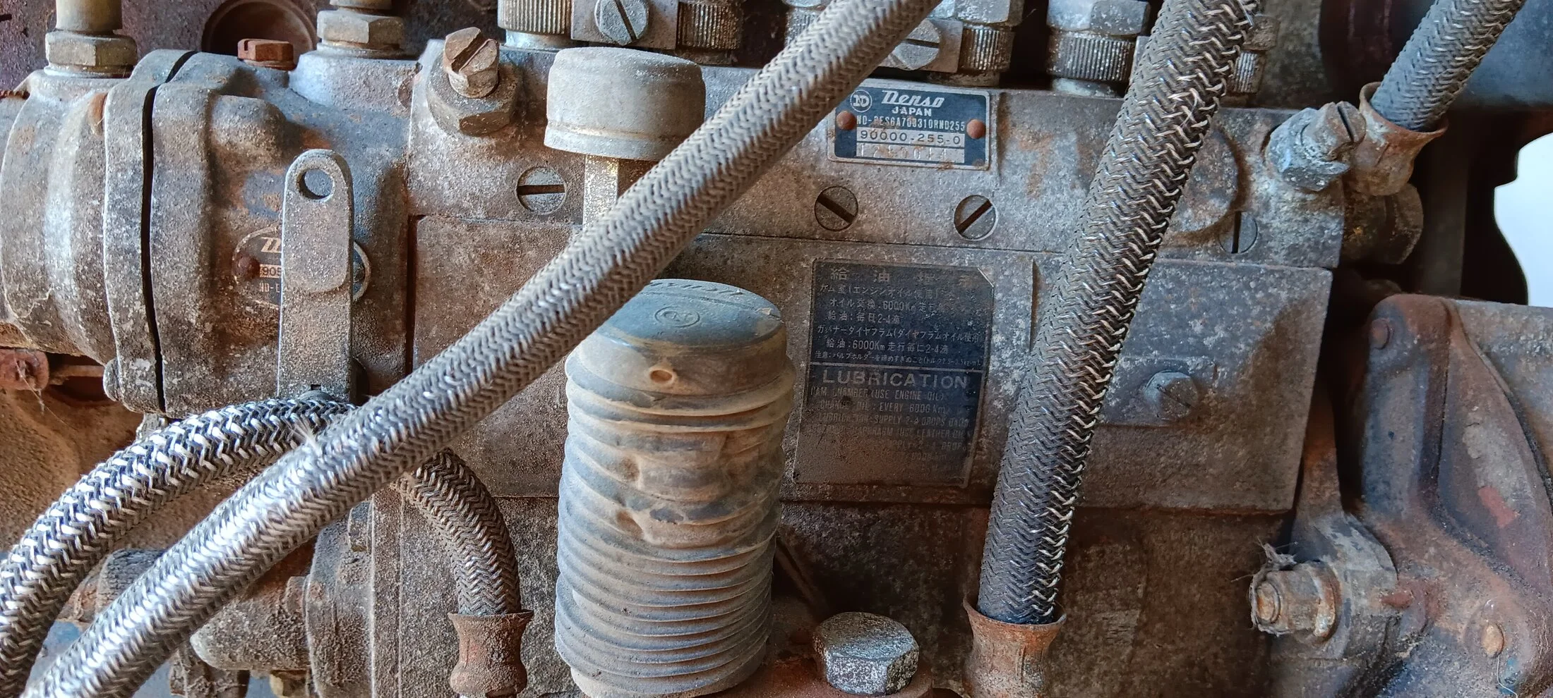 20241023_151210.jpg