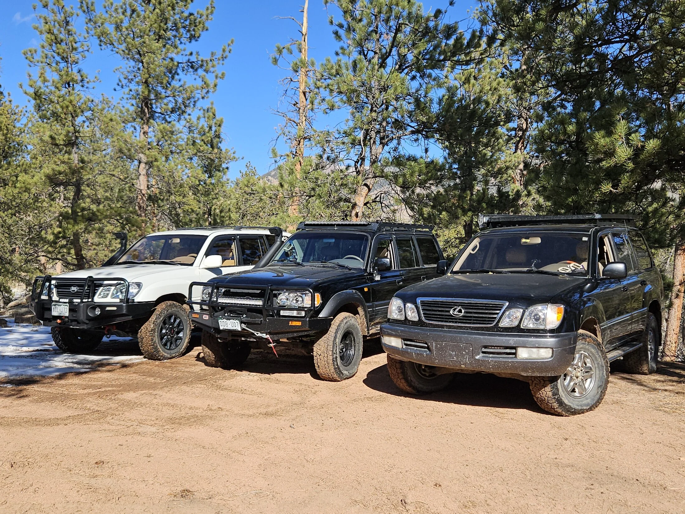 20241116_114758.jpg