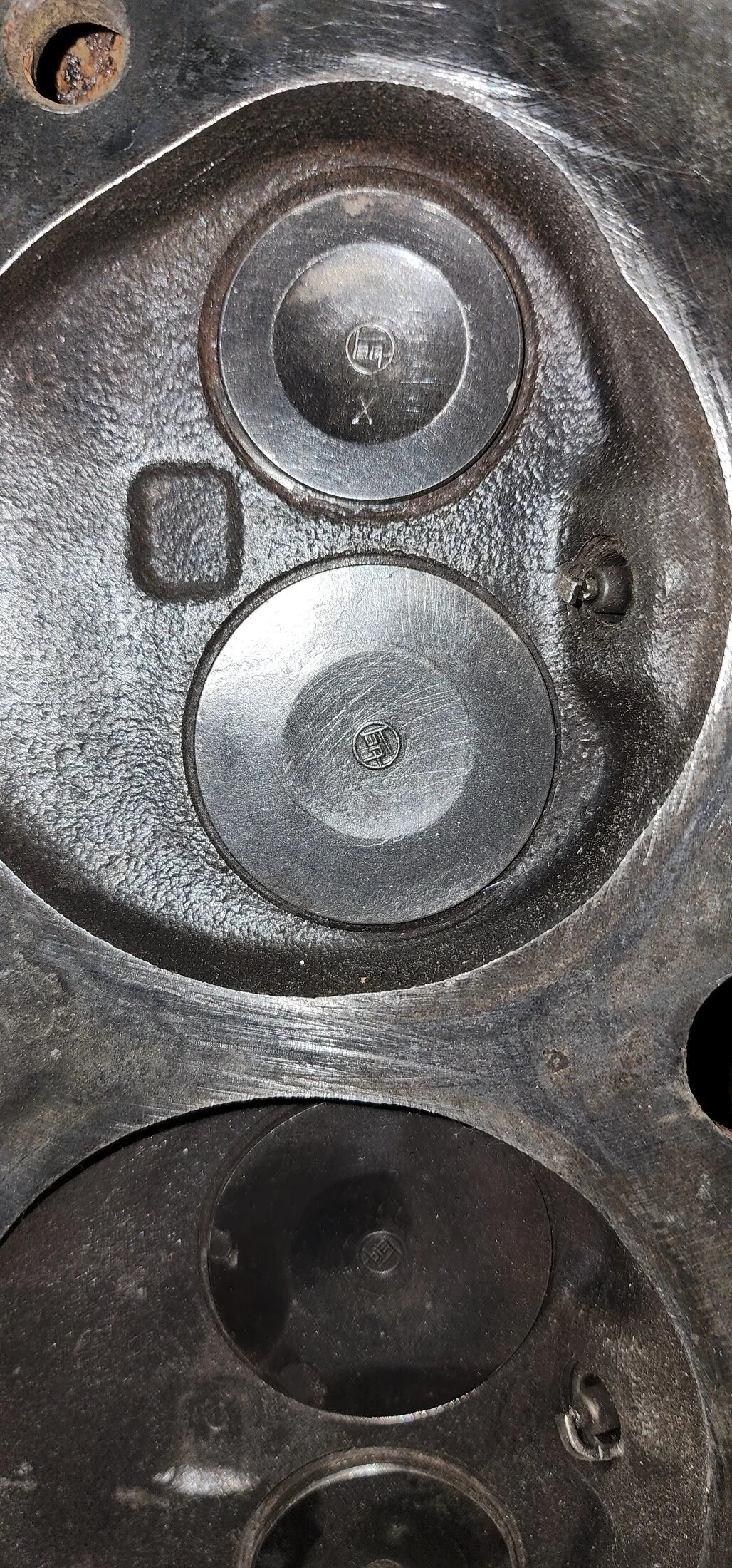 20241124_164645.jpg