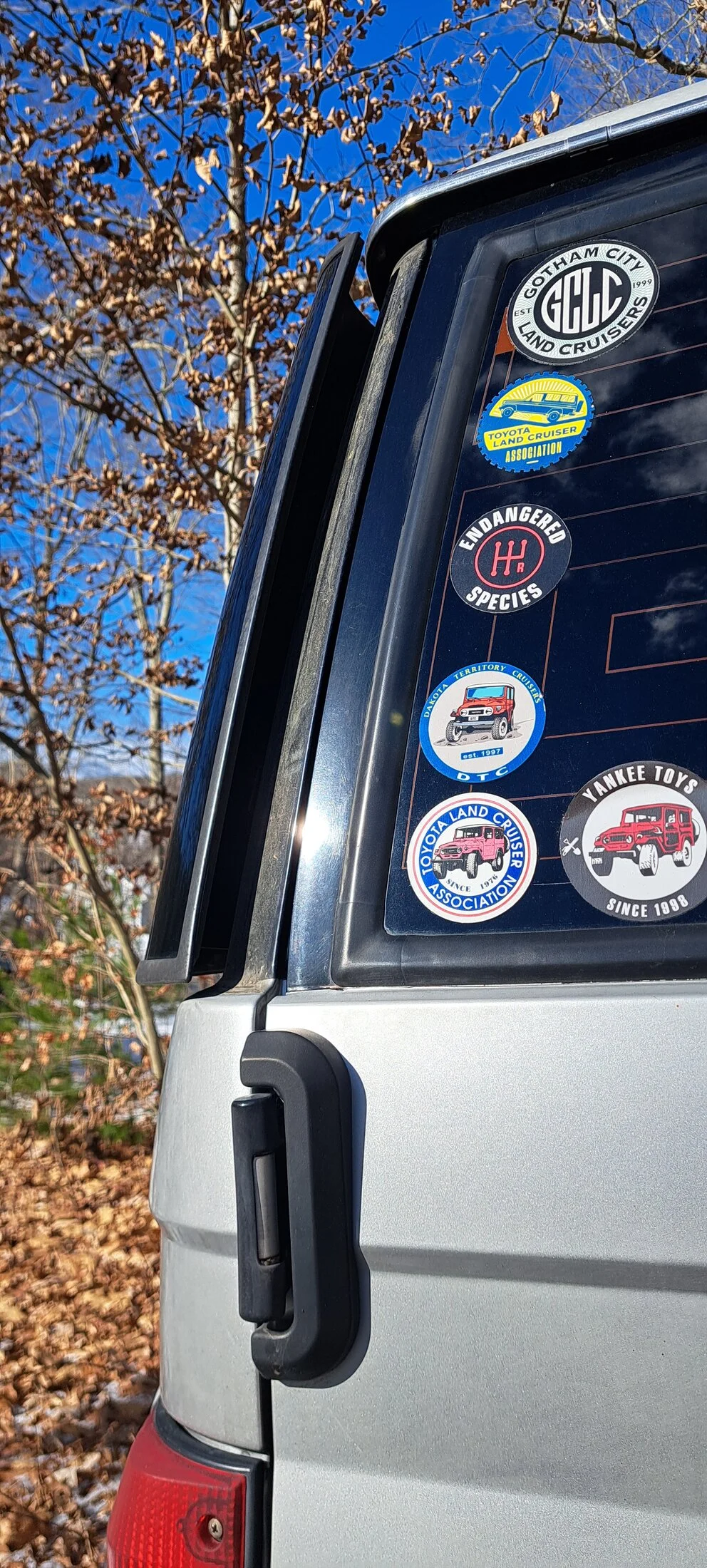 20241206_121659.jpg