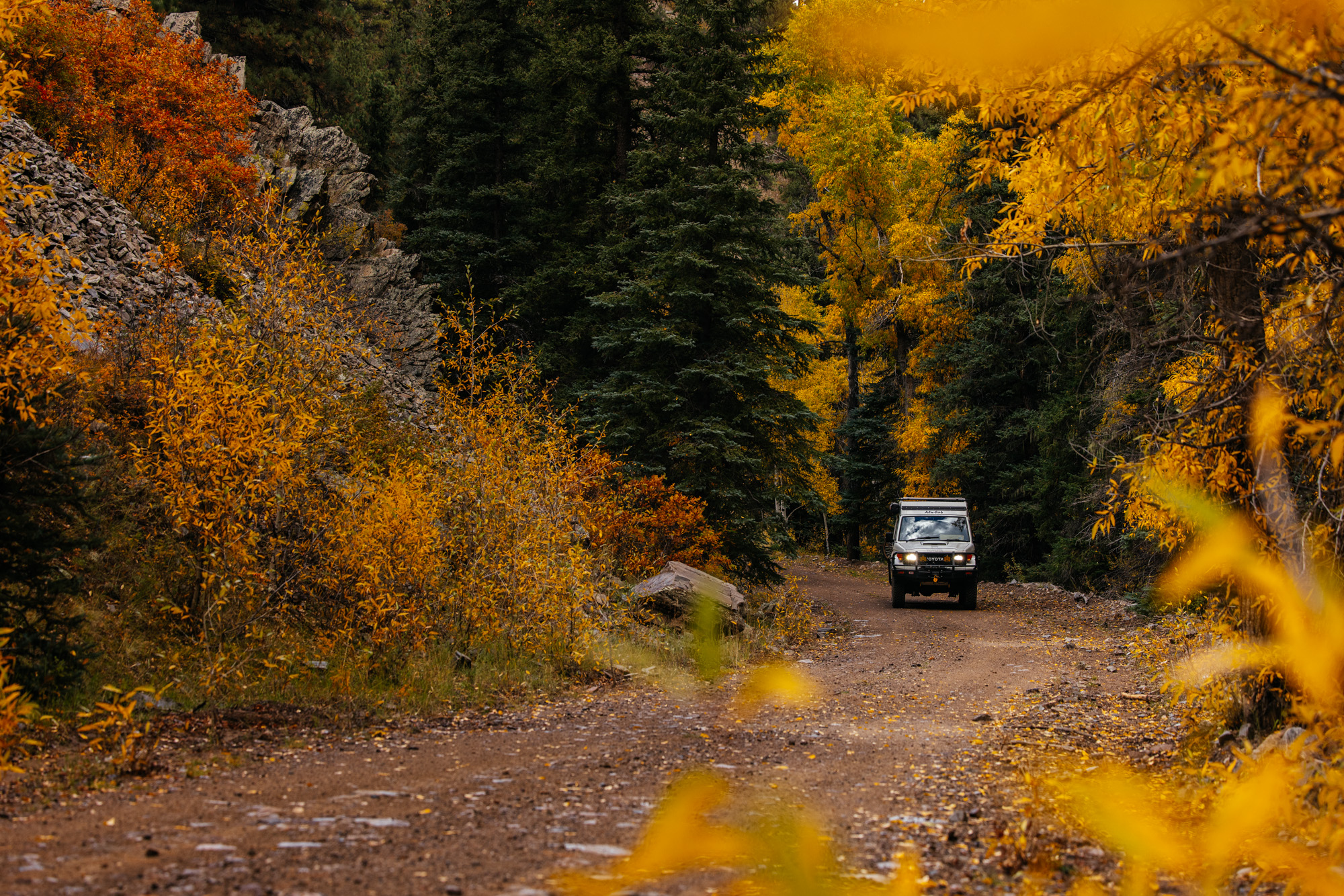 2024_Fall_Camping_MTB -48.jpg