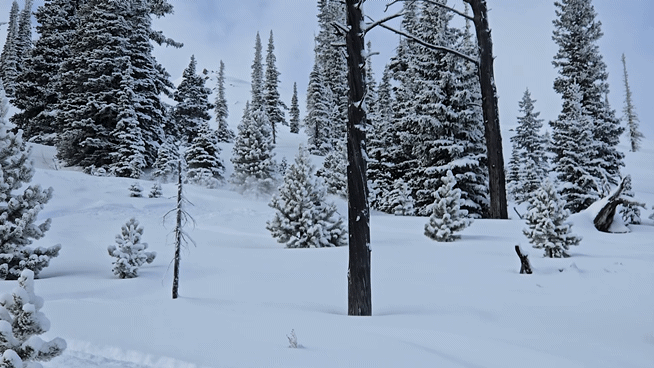 20250118_104232_1.gif