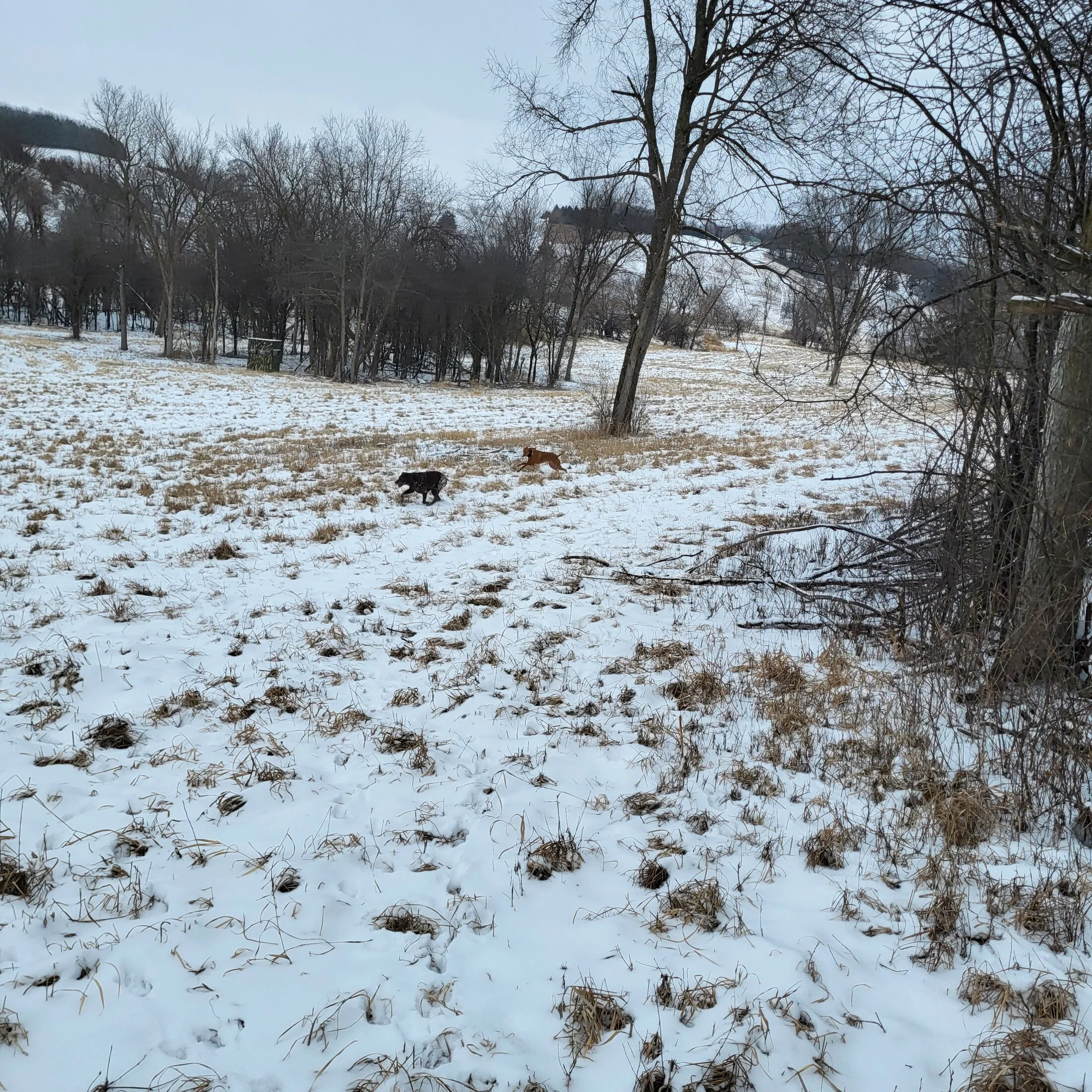 20250215_121032.webp