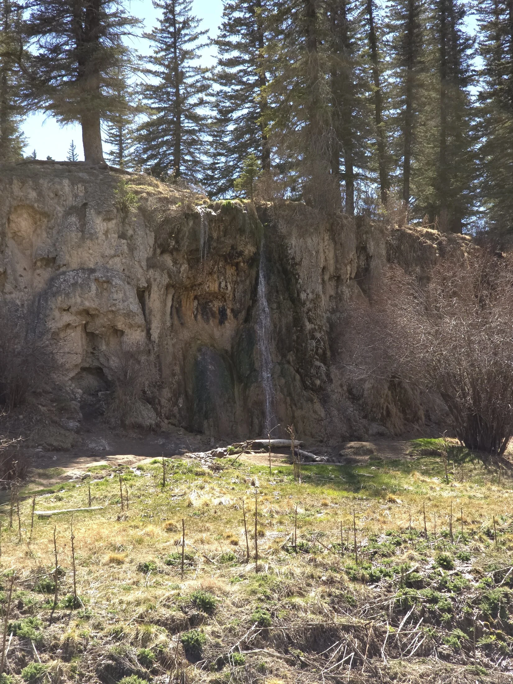 20250421_145648.webp