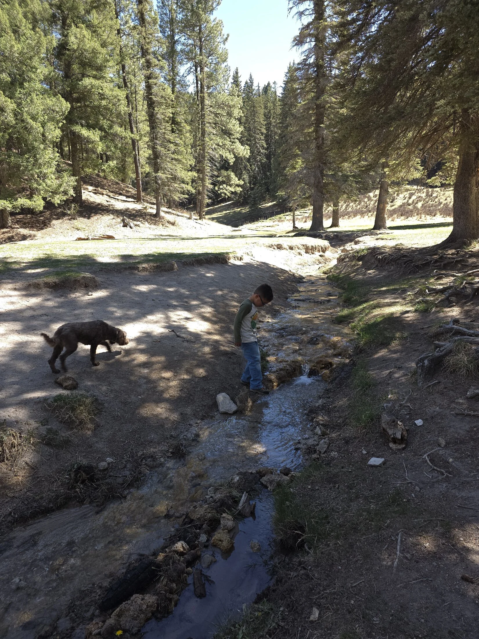 20250421_150852.webp