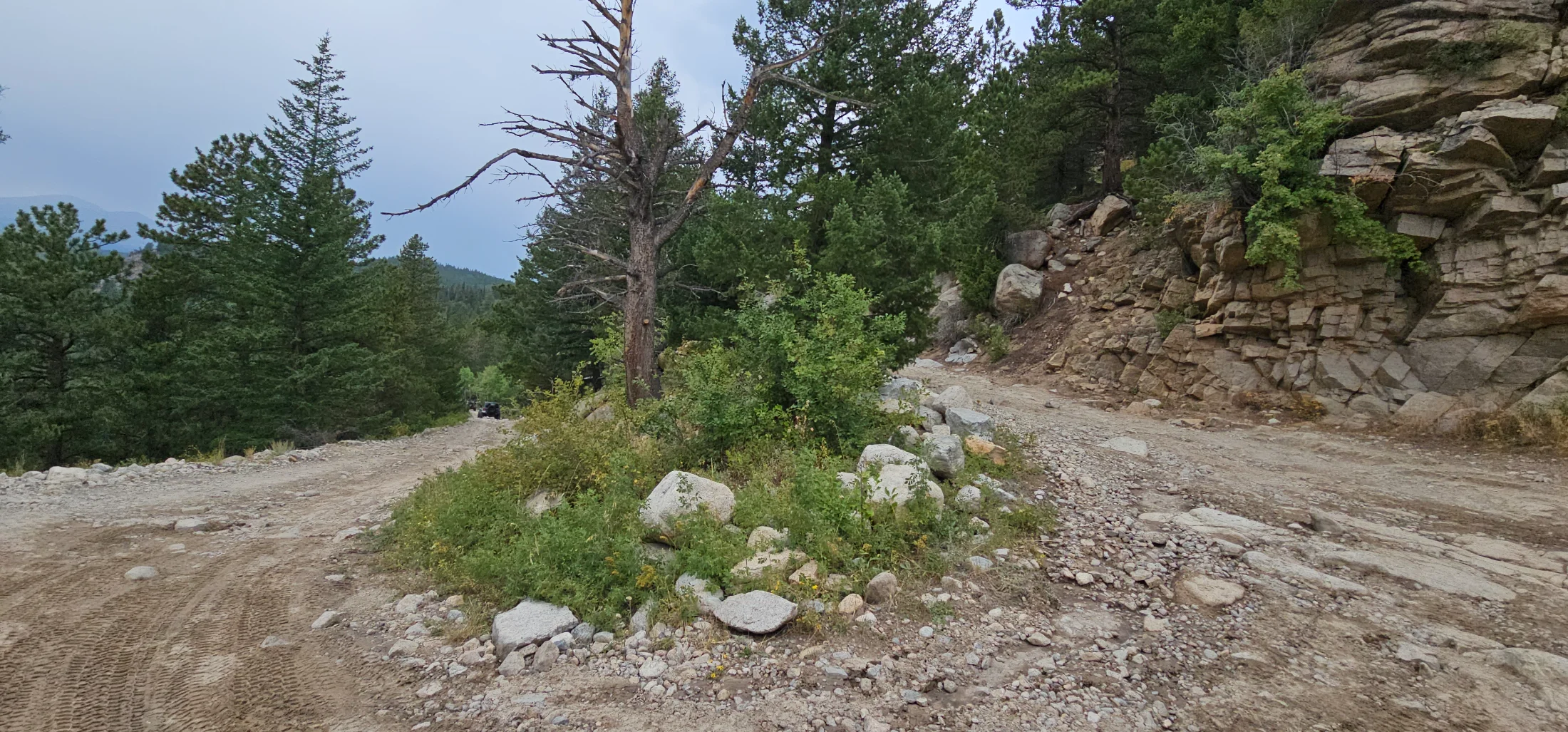 20250824_144220.webp
