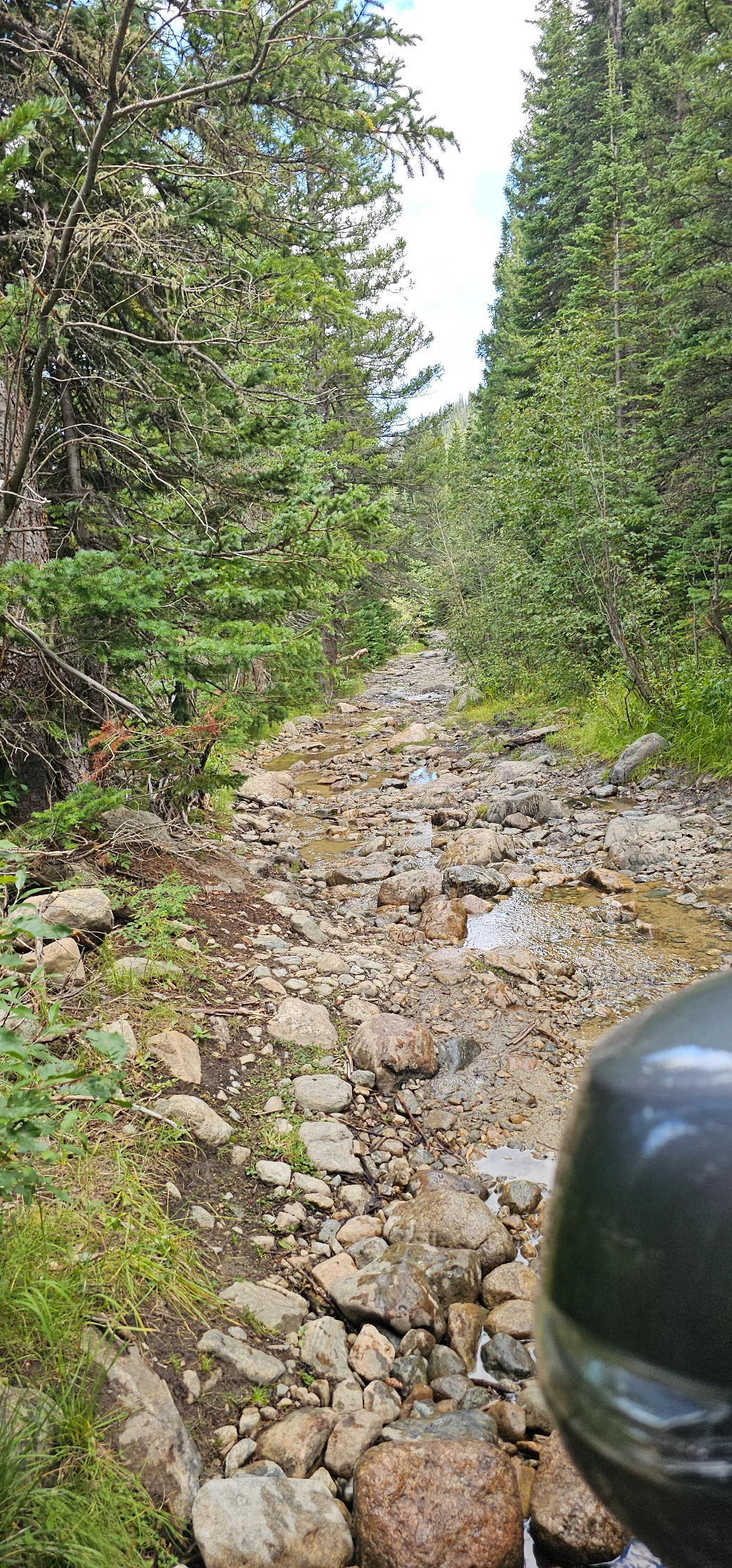20250831_143554.webp