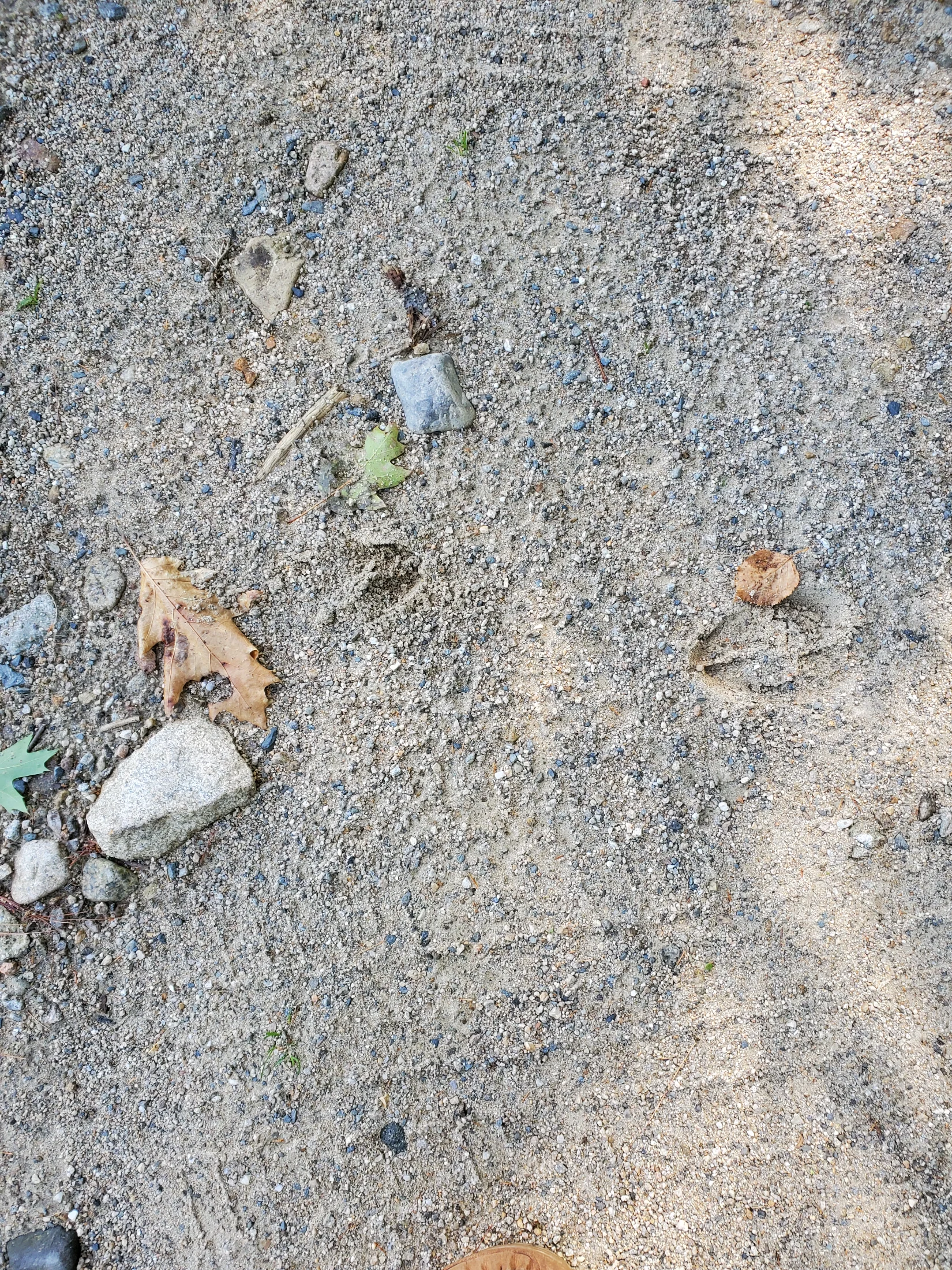 20250910_102208.webp