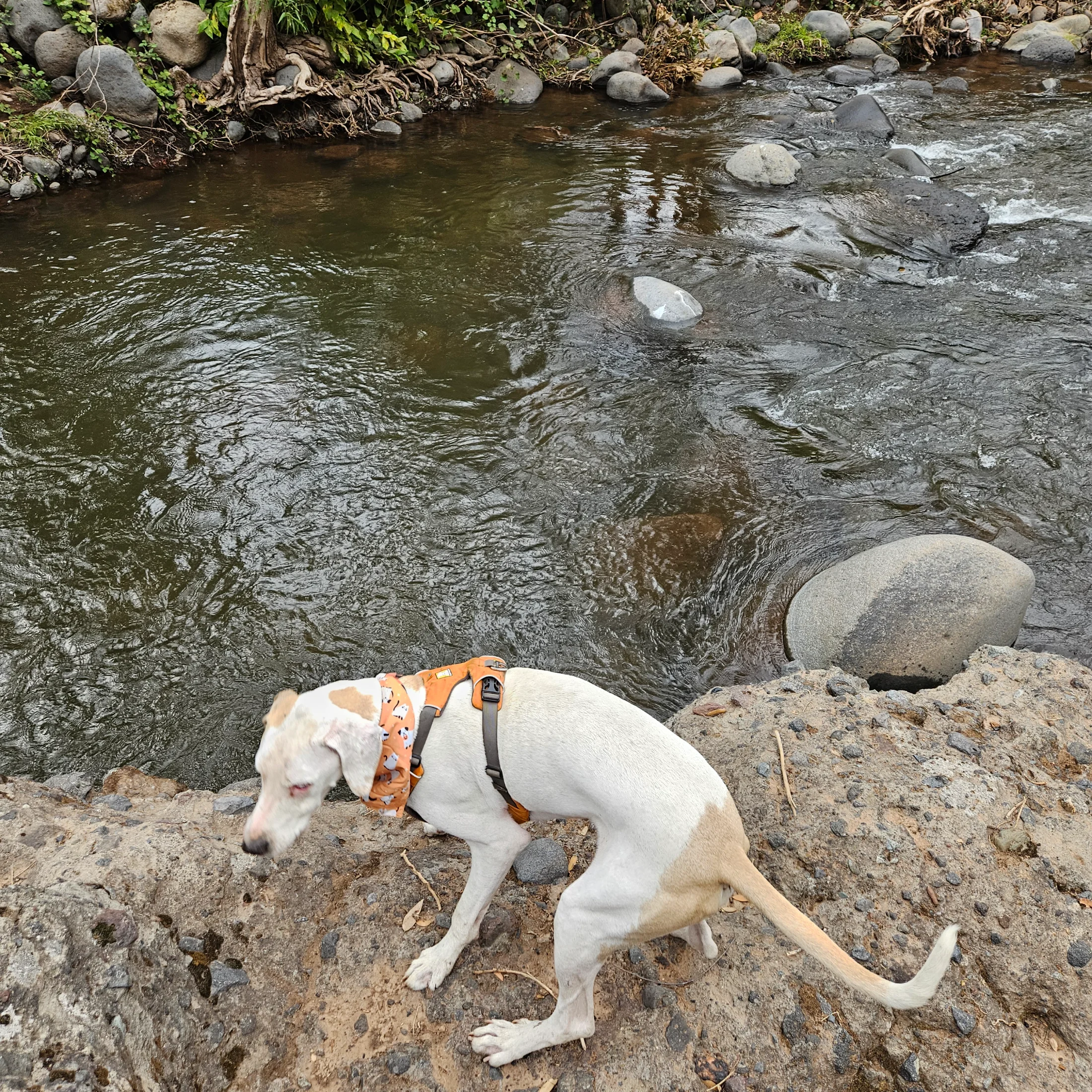 20250919_093927.webp