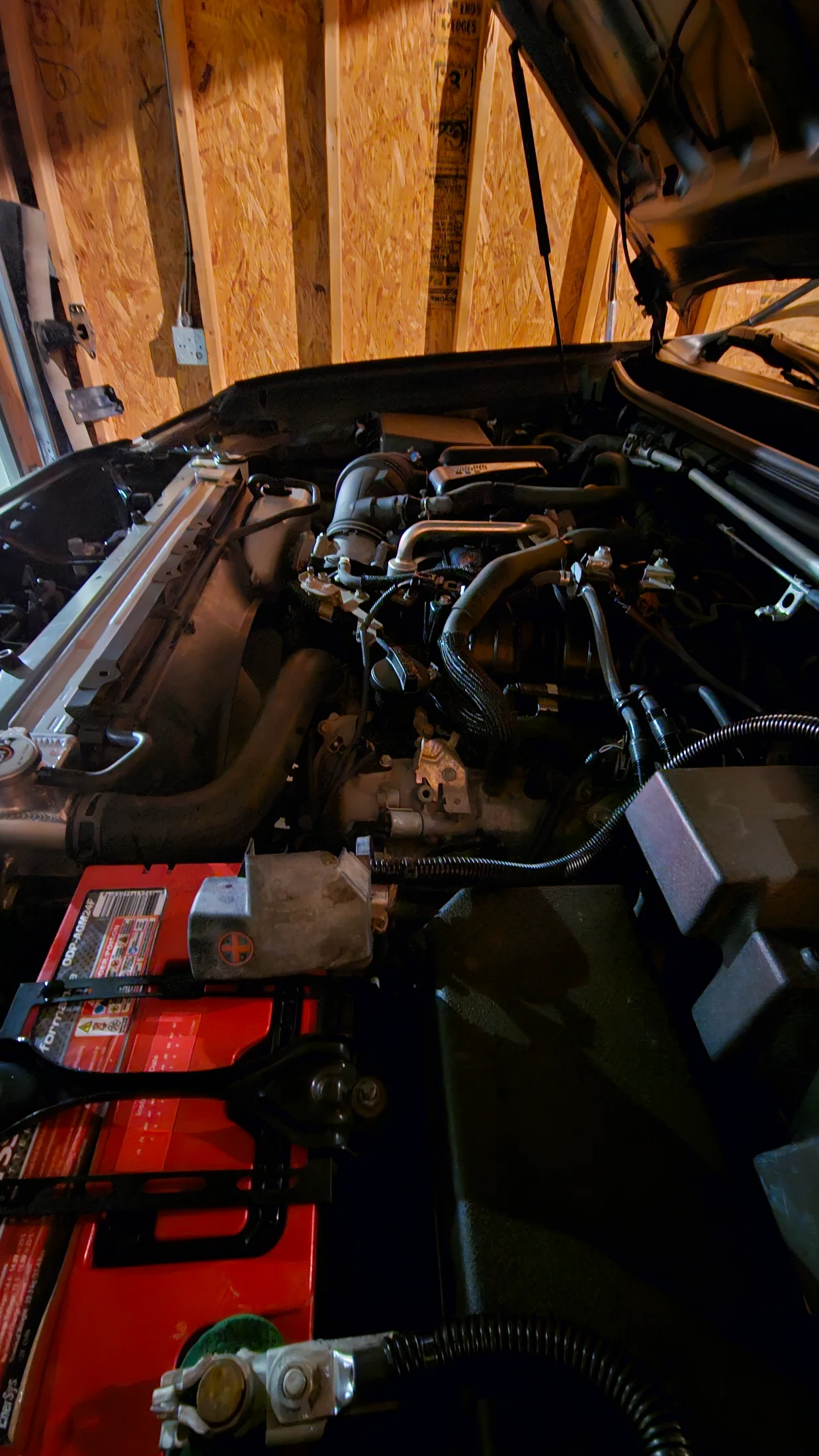 20251008_202336.webp