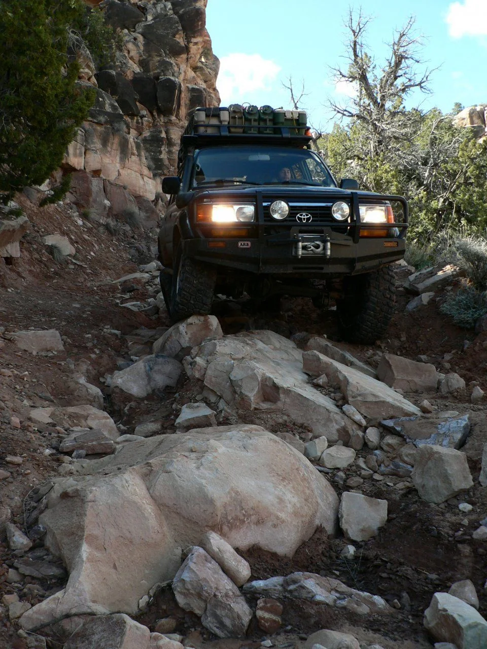 23a.webp
