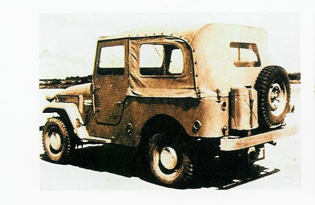 25.jpg