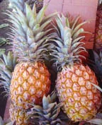 250px-Pineapple_victoria_dsc07770.webp