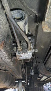 26.webp