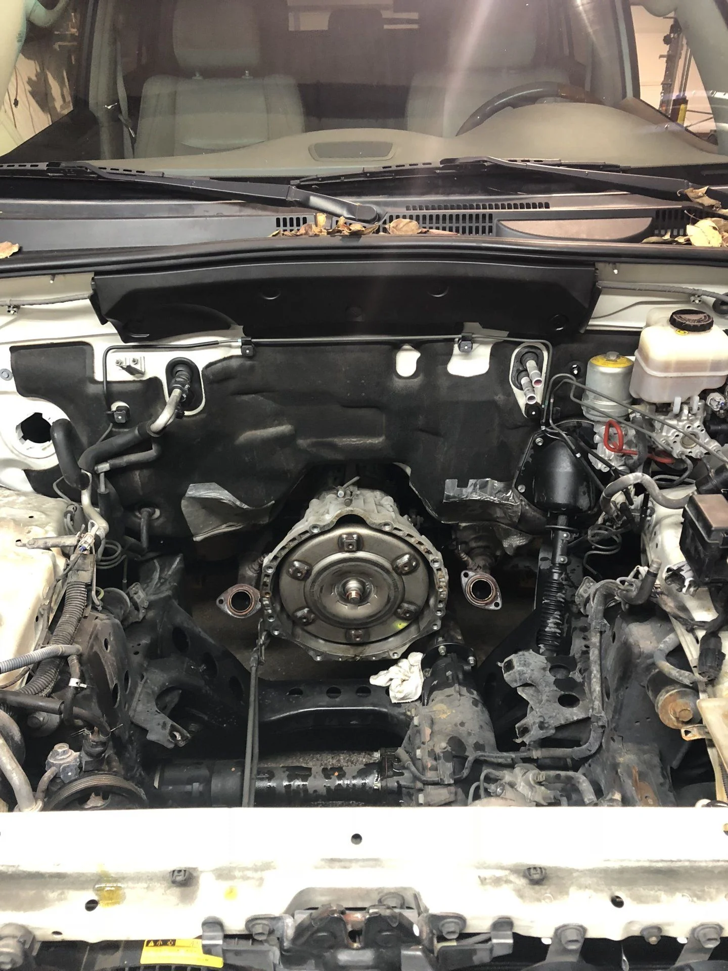 1955925