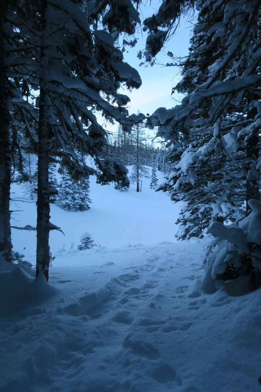 27002880_Unknown.webp