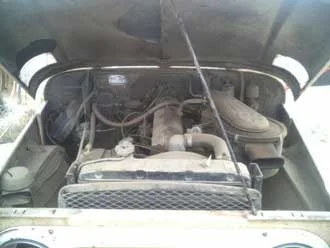 295643845_ORIG2.webp
