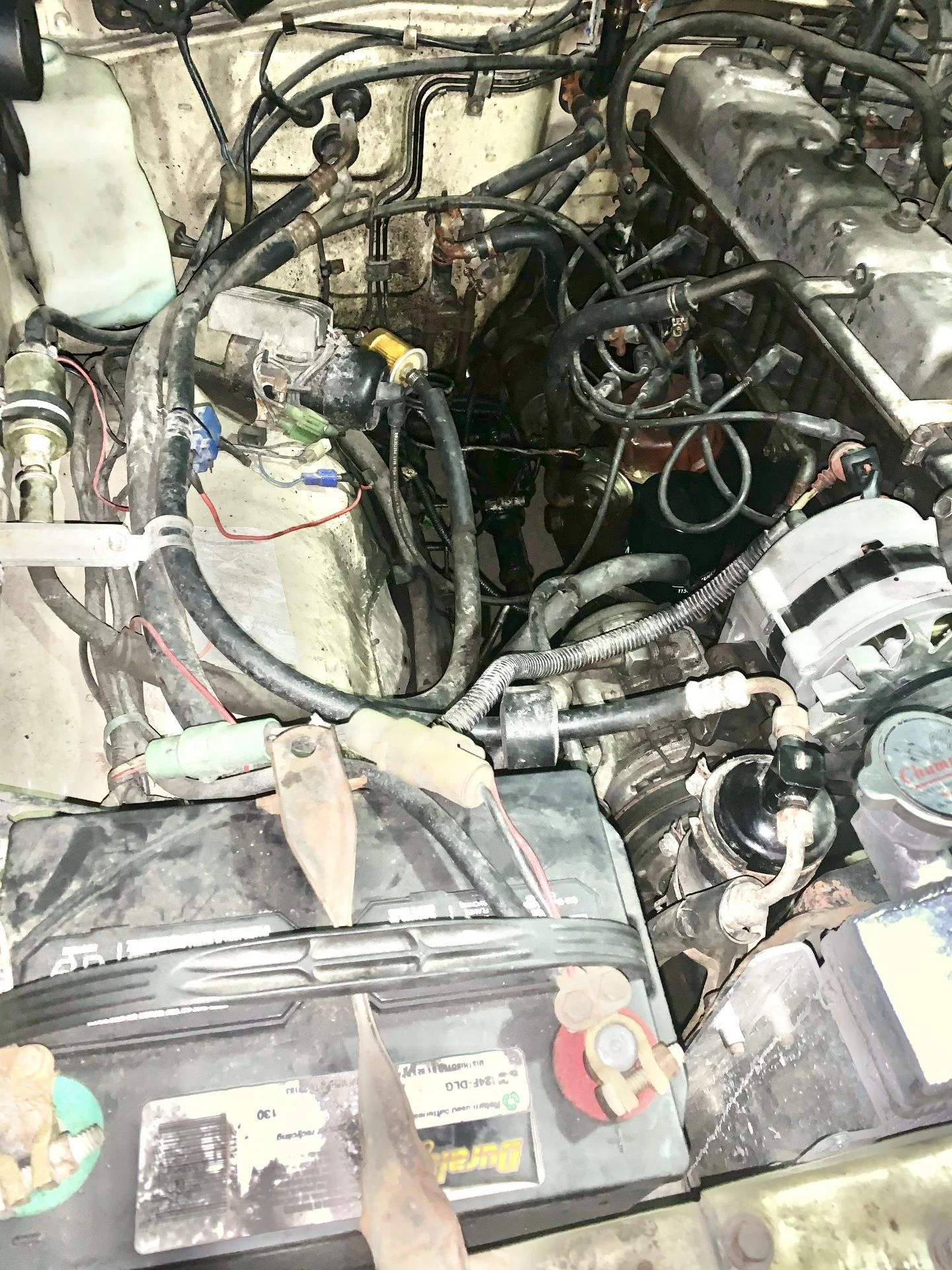2AA9E2AD-572F-46AE-BDE0-30BC9B001881.webp