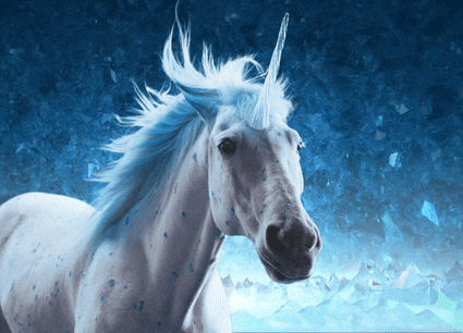 2D787FBD-707C-4E70-9D72-4A4A7134FF57.gif