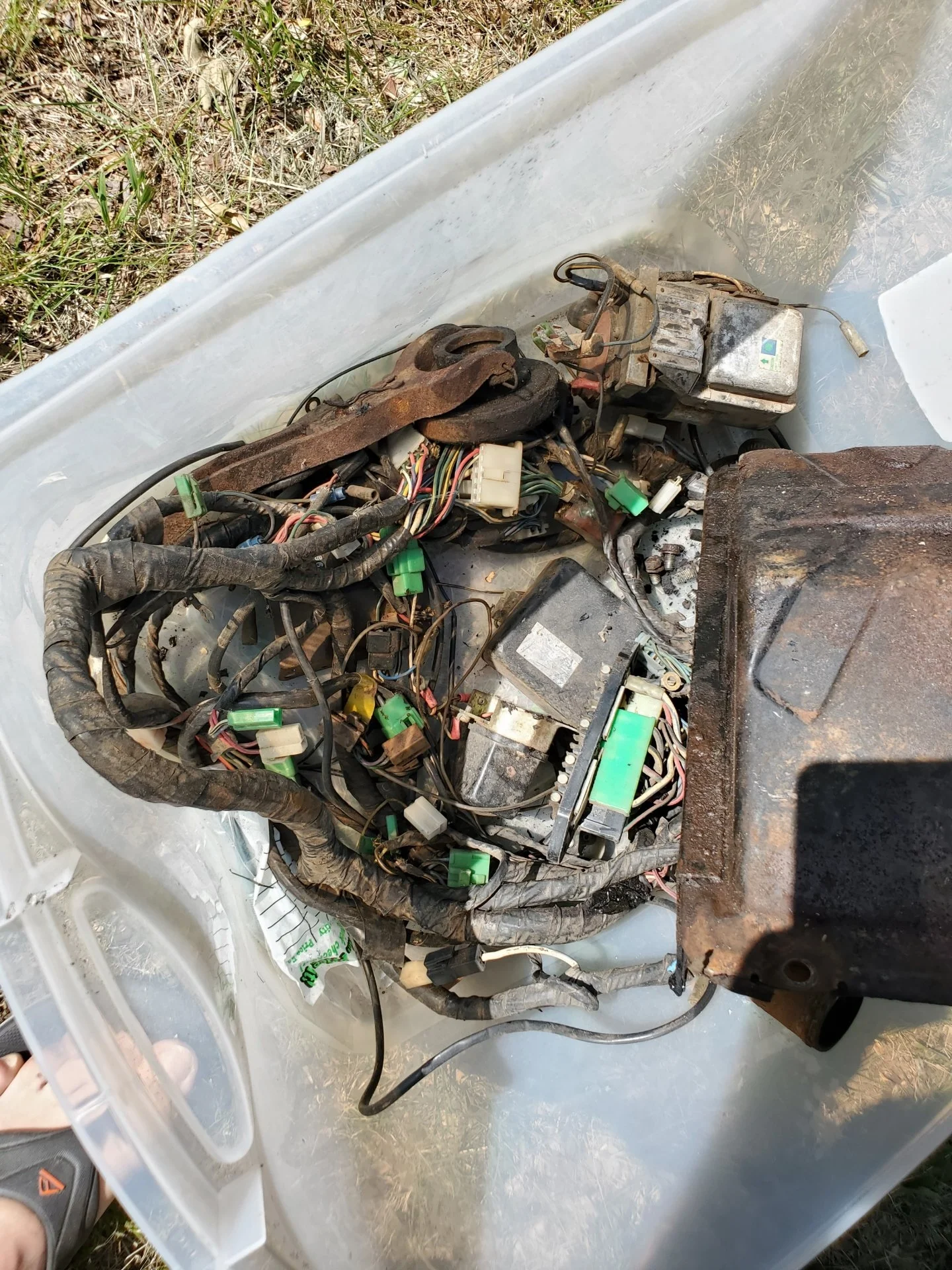 2F engine wiring harness.webp