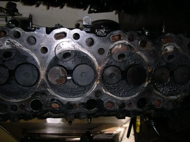 2LTEhead.webp