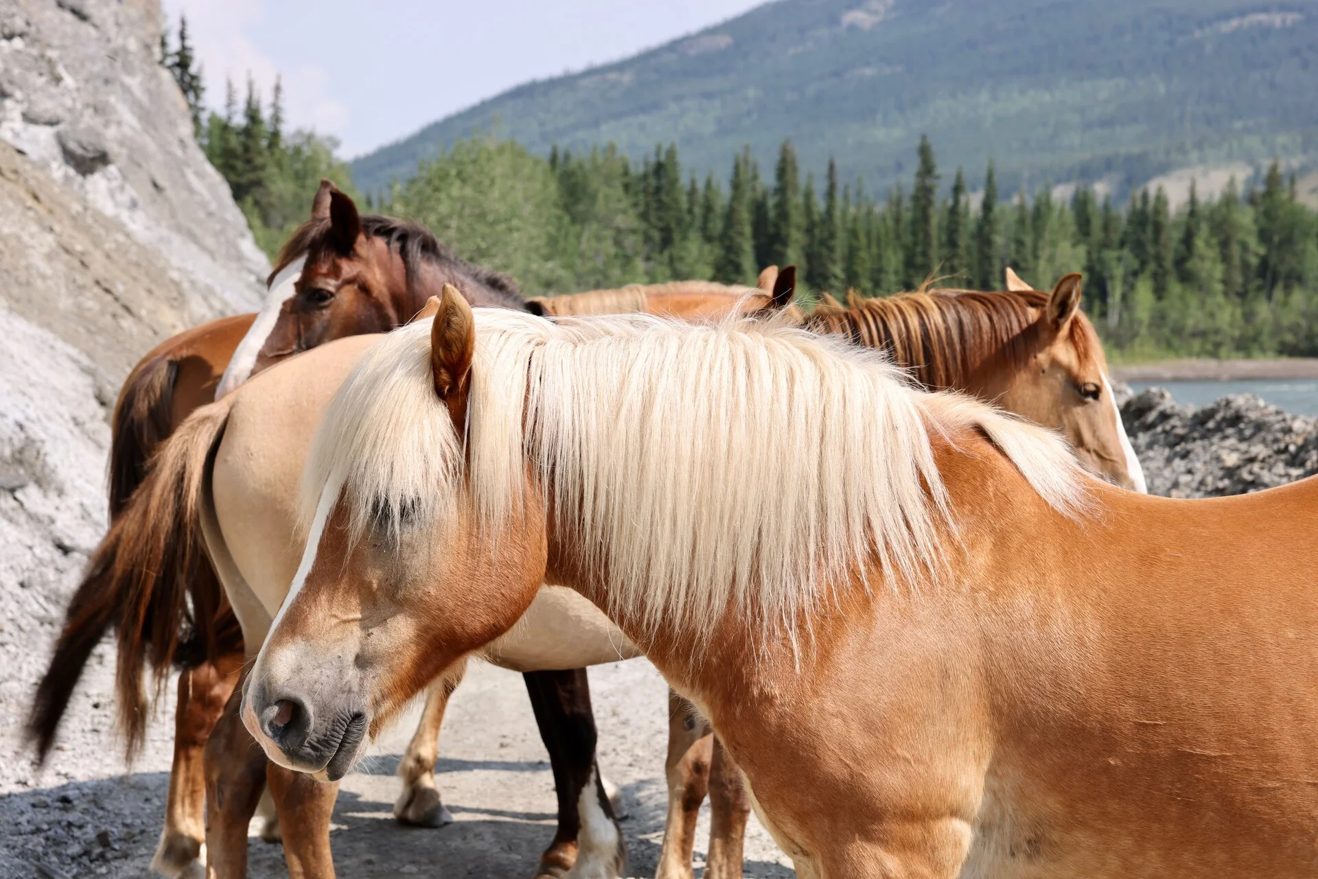2O4A2876.webp