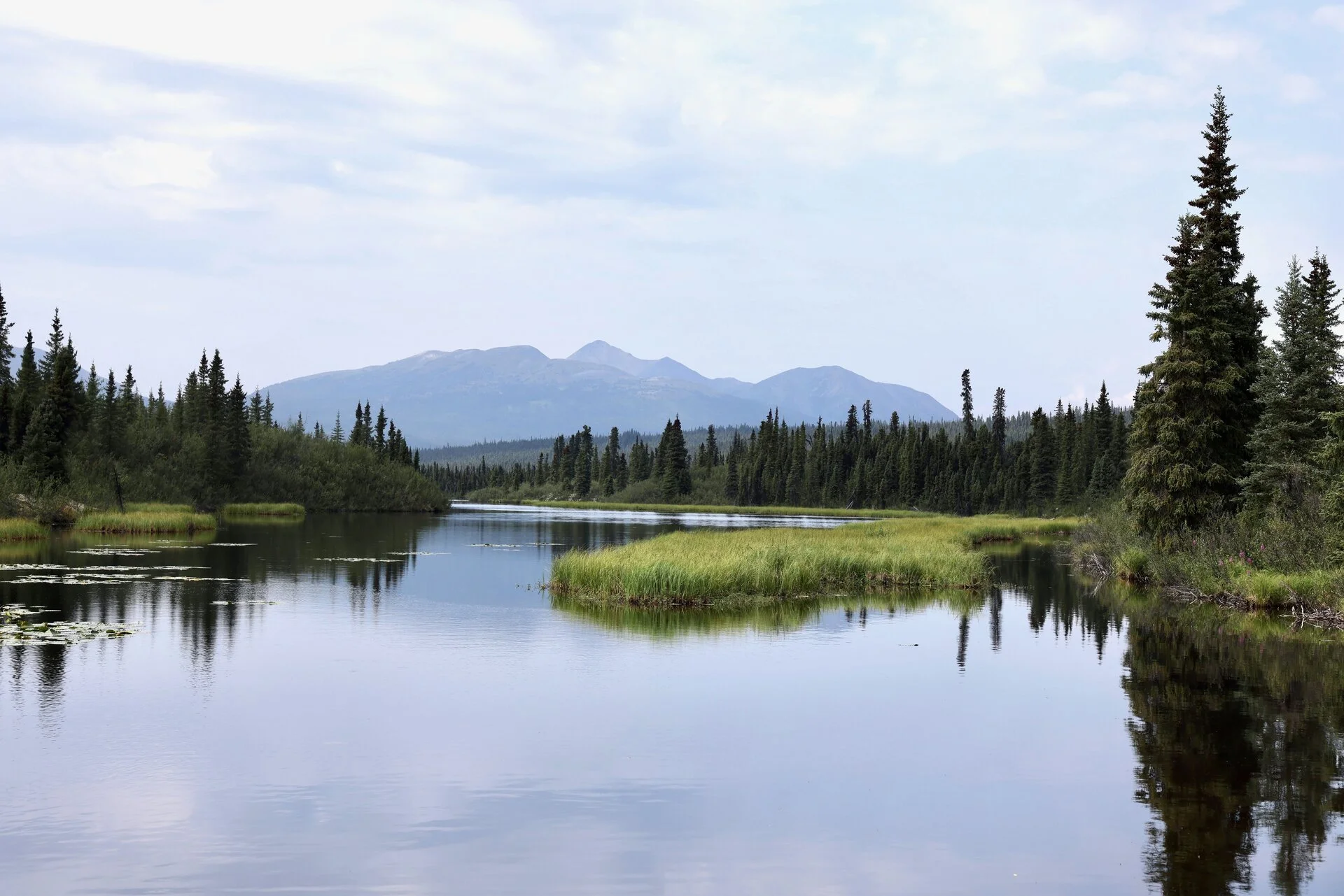 2O4A2927.webp