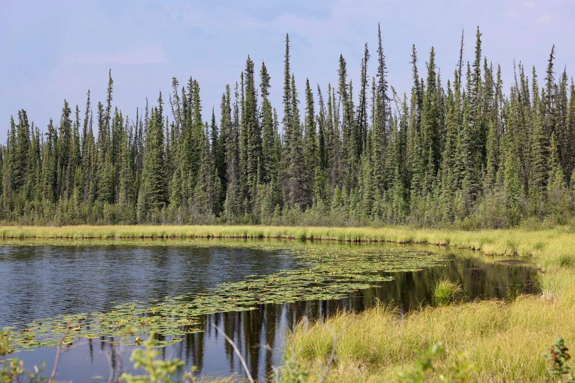 2O4A3132.webp