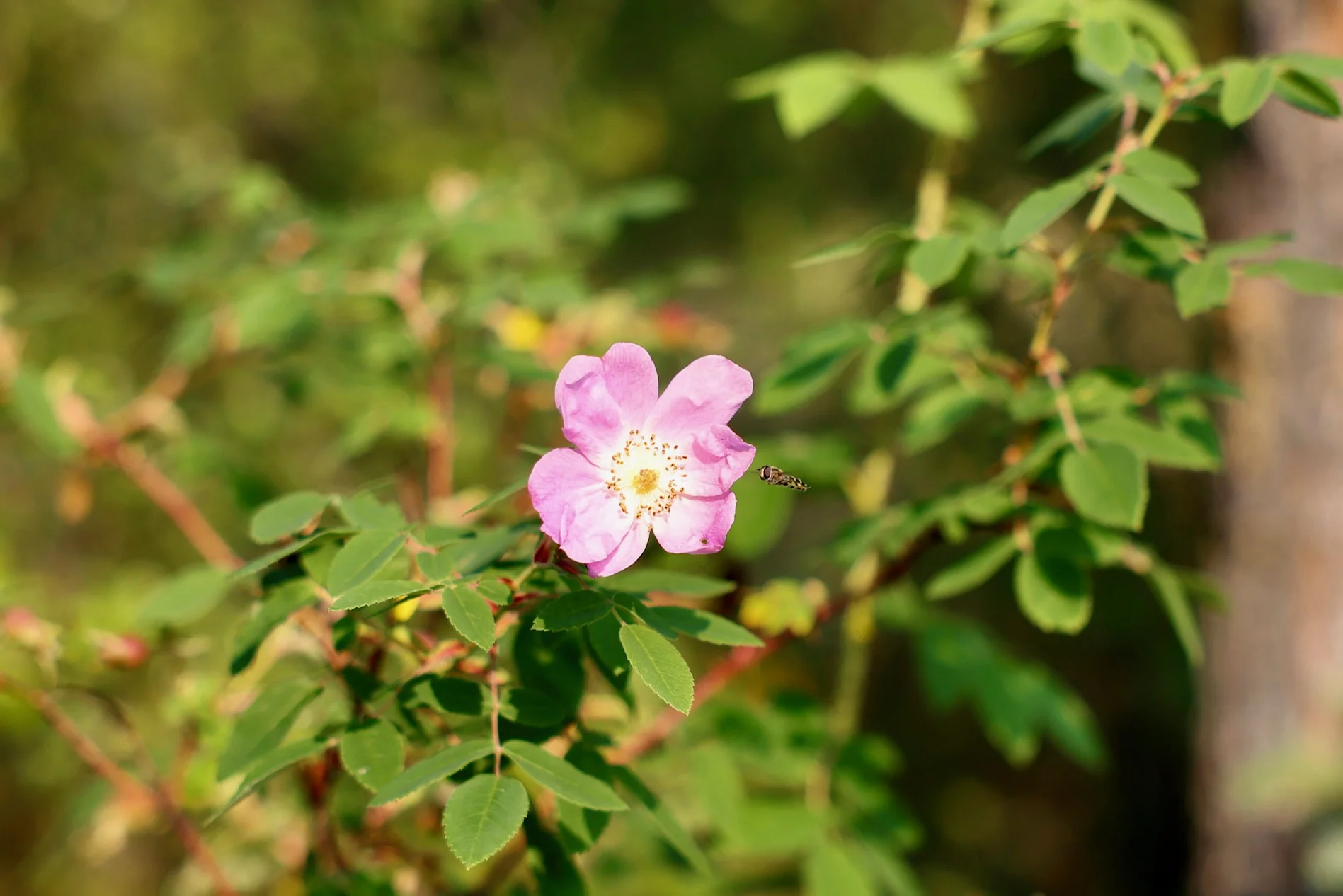 2O4A3135.webp