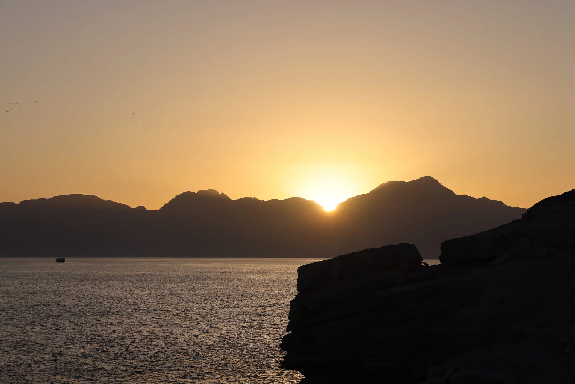 2O4A9246.webp