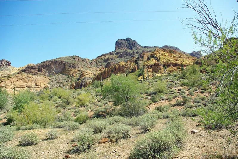 3-26-2012_1.webp