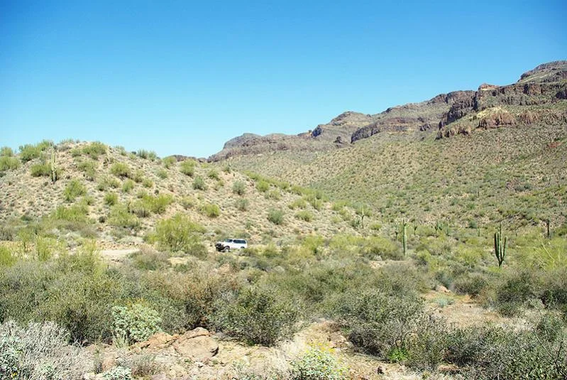 3-26-2012_2.webp