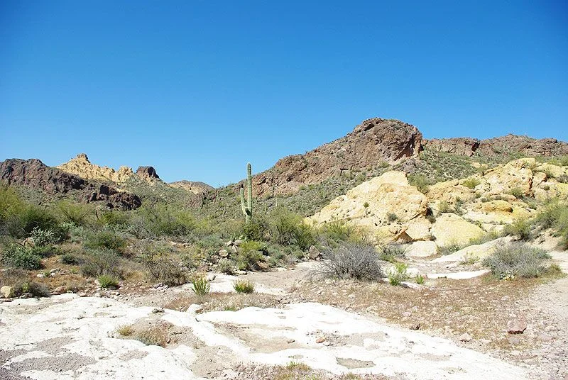 3-26-2012_4.webp