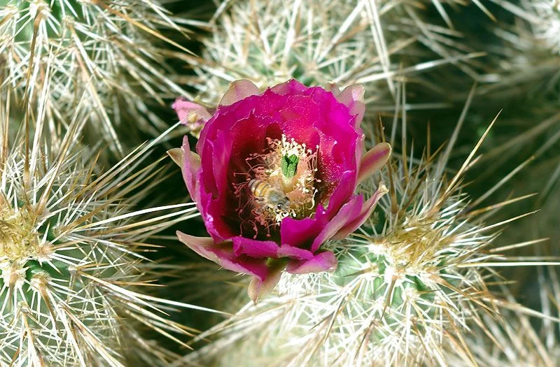 3-26-2012_5.webp