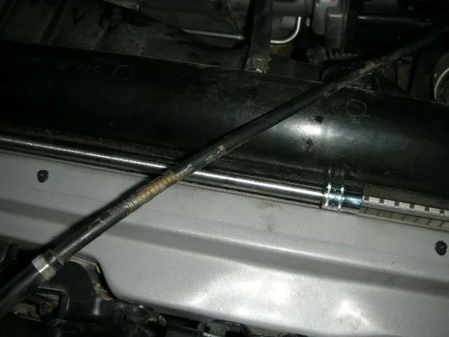 3-6-07 012.webp