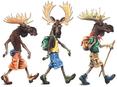 3-blind-moose.webp