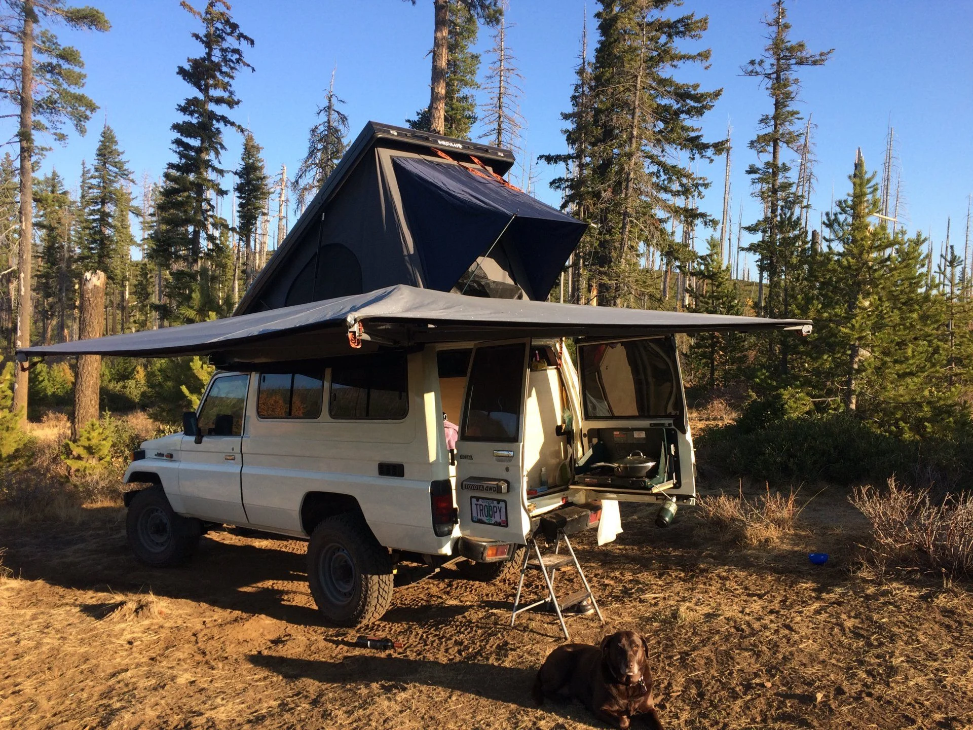 3 Fingered Jack.webp